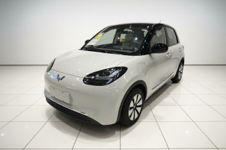 五菱汽车 五菱缤果 2025款 333km 悦享款