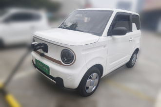 吉利银河 2024款 熊猫mini 200km 耐力熊