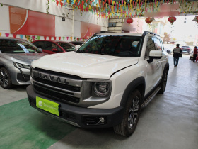 哈弗大狗 2024款 1.5T DCT边牧版