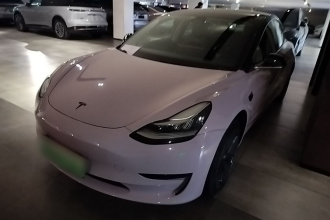 特斯拉 Model 3(进口) 2019款 长续航后驱版