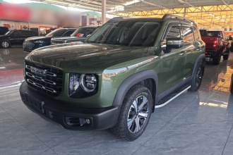 哈弗大狗 2022款 1.5T DCT两驱拉布拉多版
