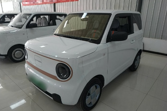 吉利银河 2024款 熊猫mini 200km 耐力熊