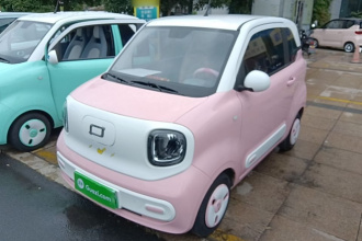 奔腾小马 2024款 170km 元气马