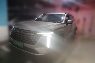 哈弗H6 2024款 1.5T 两驱Max