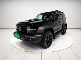 坦克300 2024款 2.0T 征服者