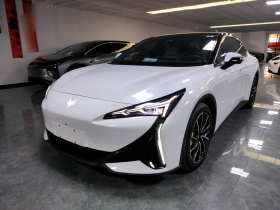 ARCFOX极狐 极狐 阿尔法S5 2024款 560MAX 185kW