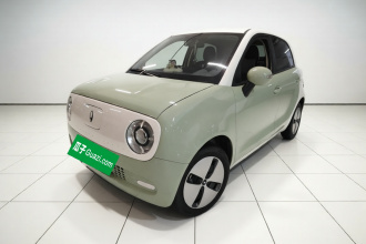 欧拉黑猫 2022款 301km 基础型 三元锂