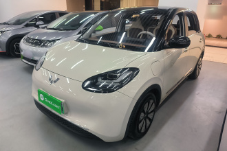 五菱汽车 五菱缤果 2023款 333km 悦享+款