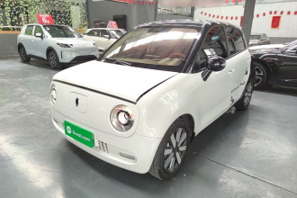 欧拉黑猫 2021款 351km 标准型
