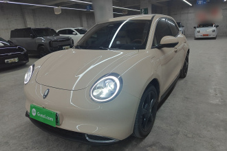 欧拉好猫 2023款 401km标准续航 豪华型 磷酸铁锂