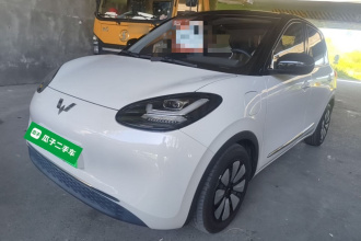 五菱汽车 五菱缤果 2023款 333km 灵犀互联款