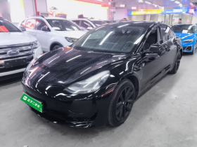 特斯拉 Model 3 2020款 改款 标准续航后驱升级版