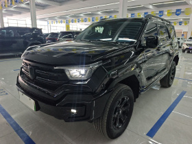 坦克400新能源 2024款 Hi4-T 越野版