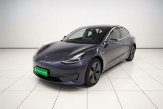 特斯拉 Model 3(进口) 2019款 长续航后驱版