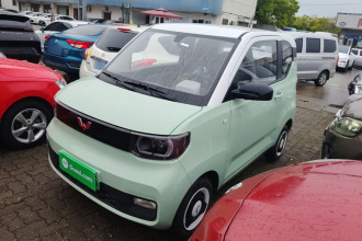 五菱汽车 宏光MINIEV 2021款 马卡龙时尚款 磷酸铁锂