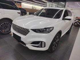 魏牌 VV6 2021款 2.0T 四驱智驭+