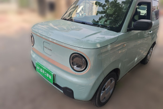 吉利银河 2023款 熊猫mini 120km 萌萌熊