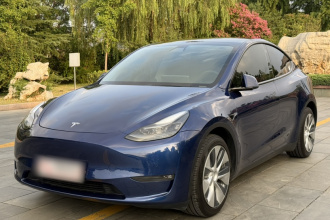 特斯拉 Model Y 2021款 标准续航后驱版