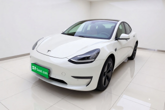 特斯拉 Model 3 2020款 改款 长续航后轮驱动版