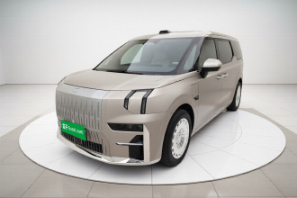 极氪009 2022款 WE版