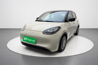 五菱汽车 五菱缤果 2023款 333km 悦享+款