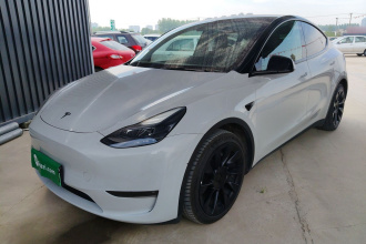 特斯拉 Model Y 2021款 标准续航后驱版