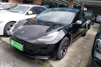 特斯拉 Model 3 2021款 标准续航后驱升级版 3D6