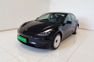 特斯拉 Model 3 2021款 标准续航后驱升级版 3D6