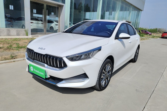 起亚K3新能源 2021款 EV 舒适版 410km