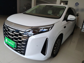 比亚迪 夏 2025款 DM-i 1.5T 100km 领先型