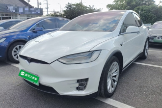 特斯拉 Model X 2020款 长续航升级版