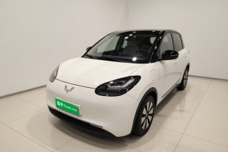 五菱汽车 五菱缤果 2024款 333km 悦享款