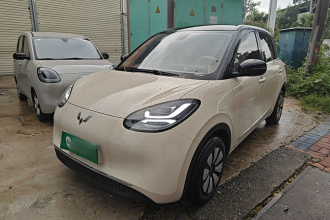 五菱汽车 五菱缤果 2025款 333km 悦享款