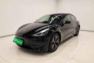 特斯拉 Model 3 2021款 标准续航后驱升级版