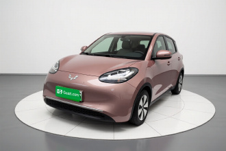 五菱汽车 五菱缤果 2023款 333km 快享款