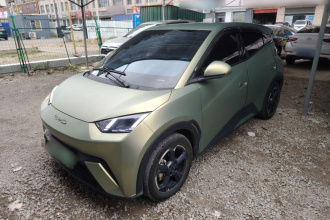 比亚迪 海鸥 2023款 飞翔版