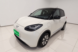五菱汽车 五菱缤果 2024款 333km 灵犀互联款