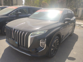 红旗HS7 PHEV 2024款 2.0T PHEV 四驱旗畅版 6座