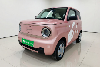 吉利银河 2023款 熊猫mini 200km 耐力熊