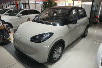 五菱汽车 五菱缤果 2024款 333km 悦享款