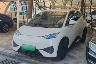 比亚迪 海鸥 2025款 智驾版 305km 活力版