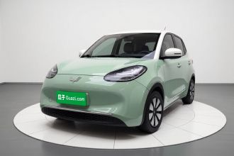 五菱汽车 五菱缤果 2023款 333km 悦享+款