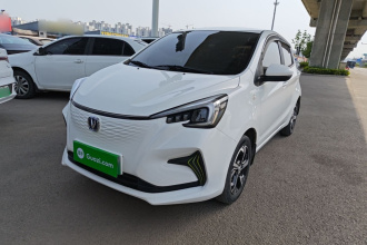 长安 奔奔E-Star 2023款 多彩款 磷酸铁锂