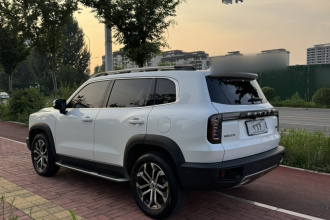 哈弗大狗 2021款 改款 1.5T DCT两驱马犬版