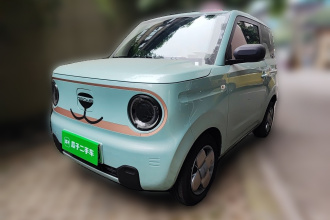 吉利银河 2023款 熊猫mini 200km 耐力熊