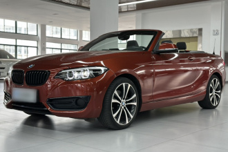 宝马2系(进口) 2019款 225i 敞篷轿跑车 运动设计套装