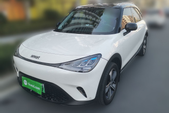 smart精灵#1 2024款 灵动标准版