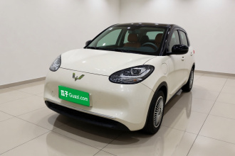 五菱汽车 五菱缤果 2024款 203km 轻享款
