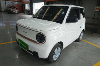 吉利银河 2024款 熊猫mini 200km 耐力熊