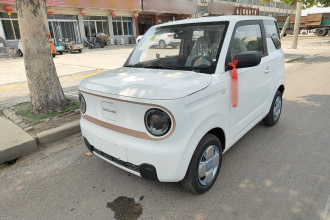 吉利银河 2024款 熊猫mini 200km 耐力熊
